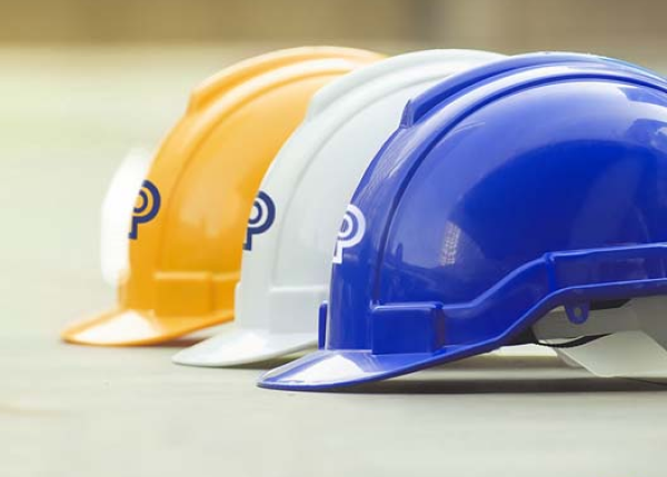 About Inspection services
